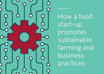 Insights Live: The Journey of a Sustainable Food Start-Up
