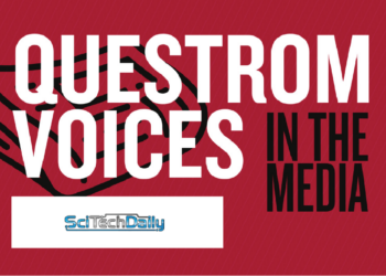 The Science of Attraction: Why Do We Fall for Certain People?